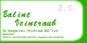 balint veintraub business card